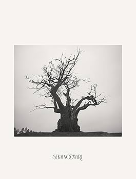 Amazon.co.jp: SEKAI NO OWARI 2010-2019[完全生産限定プレミアムBOX