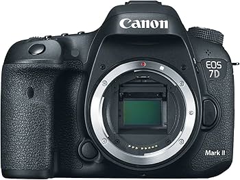 Amazon.com: Canon EOS 7D Mark II Digital SLR Camera (Body Only
