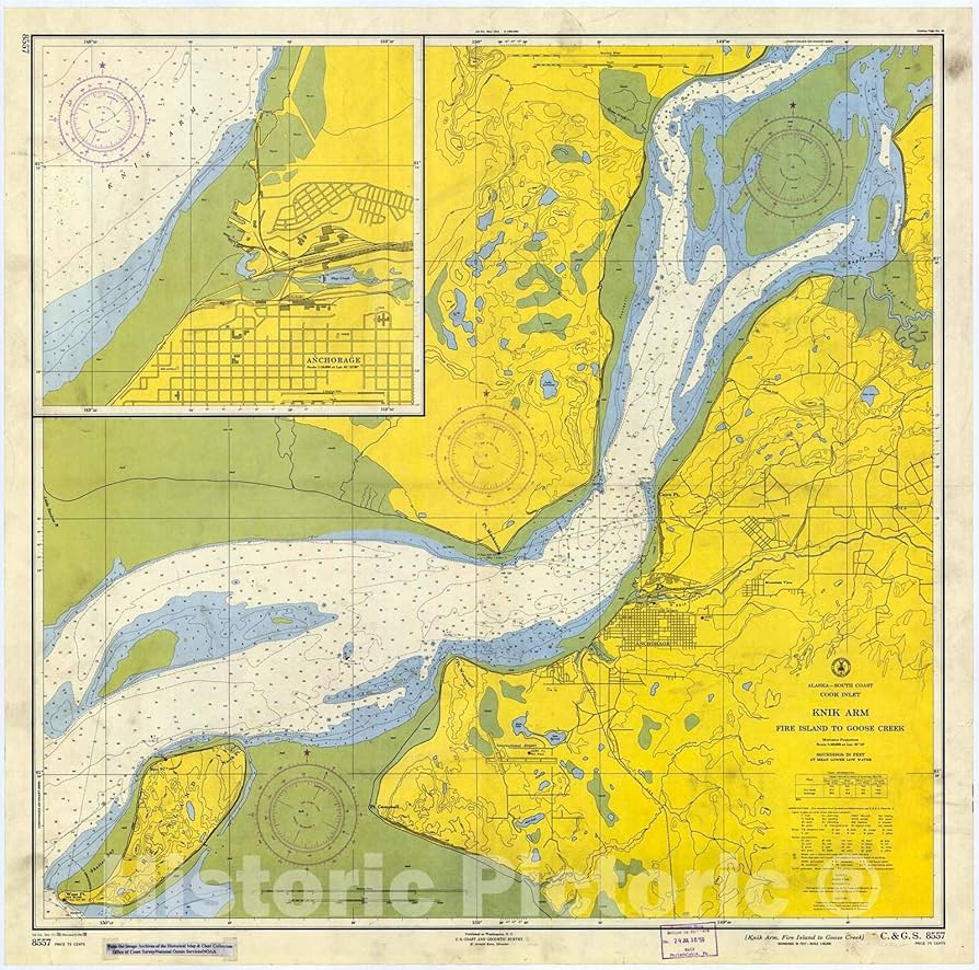 Amazon.com: Historic Pictoric Vintage Map - Knik Arm, Fire Island