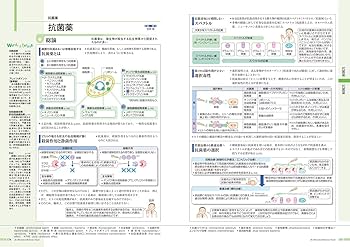 病気がみえる vol.6 免疫・膠原病・感染症 第2版 | 医療情報科学研究所