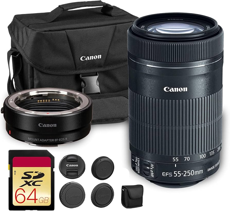 Amazon.com : Canon EF-S 55-250mm f/4-5.6 IS STM Lens | Compact