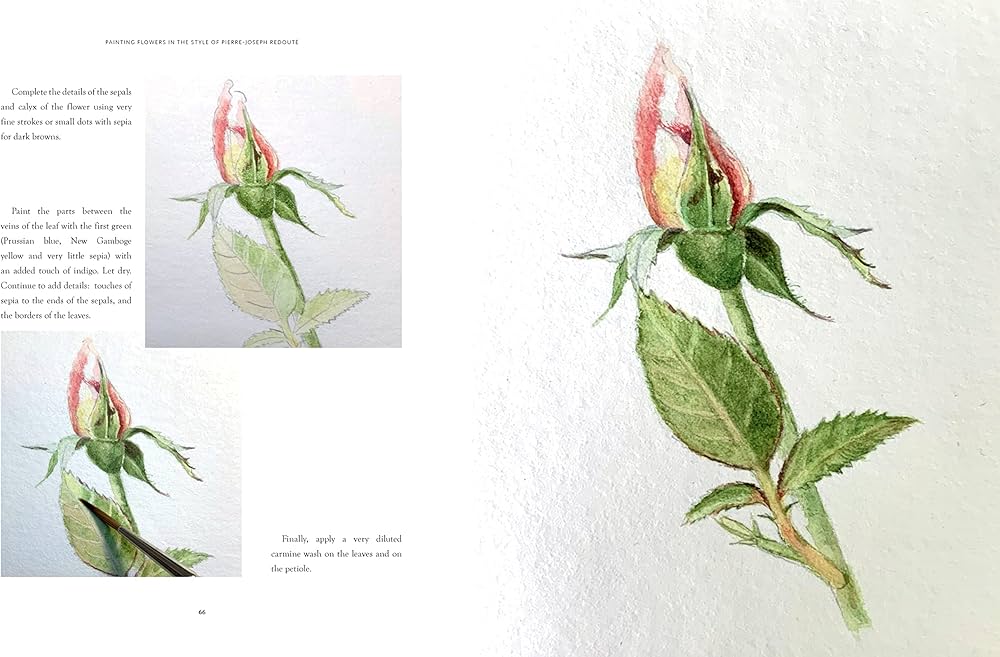 The Botanical Artist: Learn to Draw and Paint Flowers in the Style