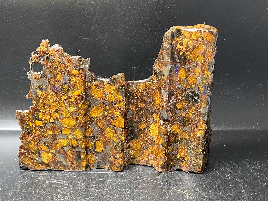 Amazon.co.jp: 【鑑別書付き】 パラサイト隕石 374g 男女兼用 隕石 石