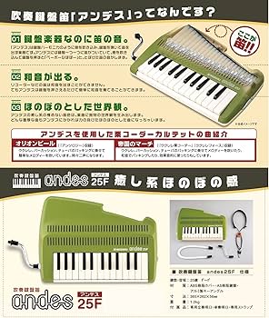 Amazon | SUZUKI スズキ 鍵盤リコーダー アンデス andes 25F 鍵盤楽器