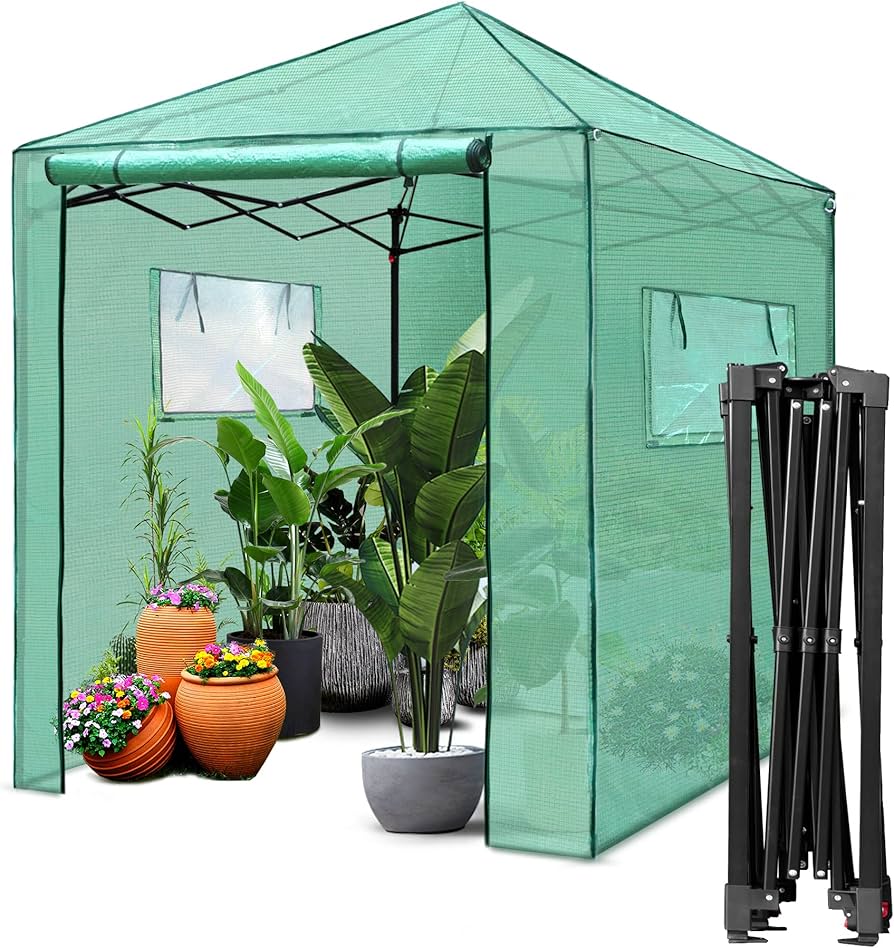 Amazon.com : PexFix 6'x 5' Portable Walk-in Greenhouse, Easy Setup