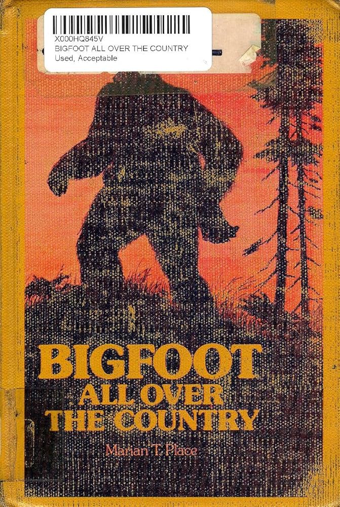 81h14zr6h-L._AC_UF1000,