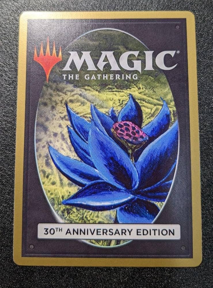 Amazon.co.jp: MTG 冬の宝珠 Winter Orb 旧枠 30A 英語 : おもちゃ