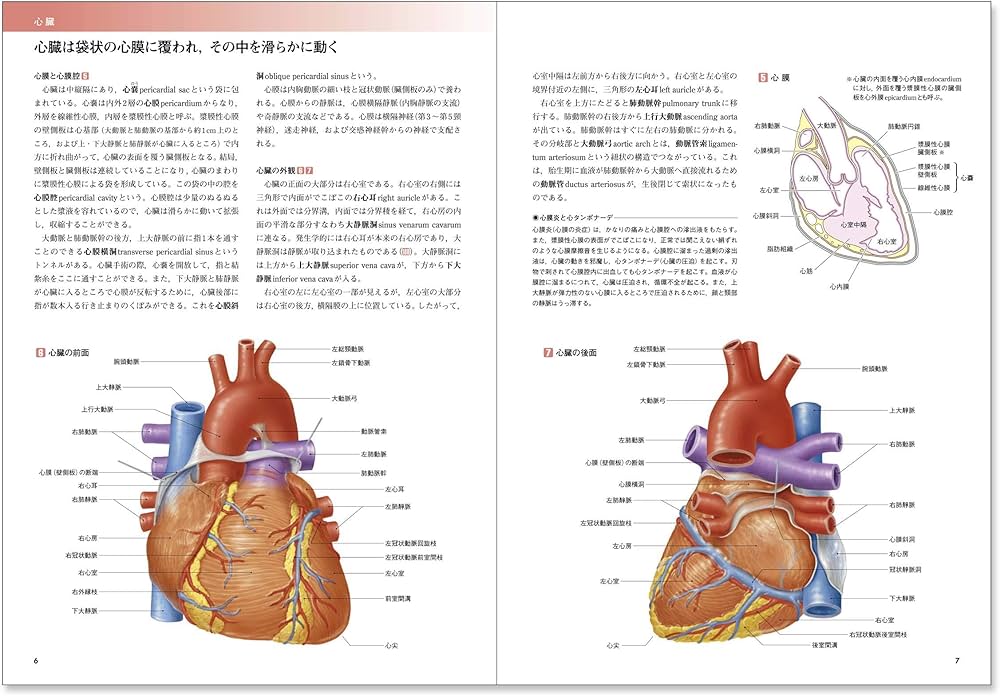人体の正常構造と機能 第5版 全10巻縮刷版 電子版使用不可 カラー図解