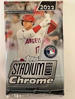 81iJNEhVGQL._AC_UF350,