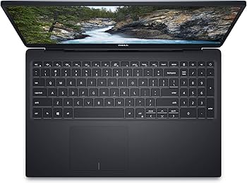 Amazon.com: Dell Vostro 15 5590, 10th Generation Intel Core i7