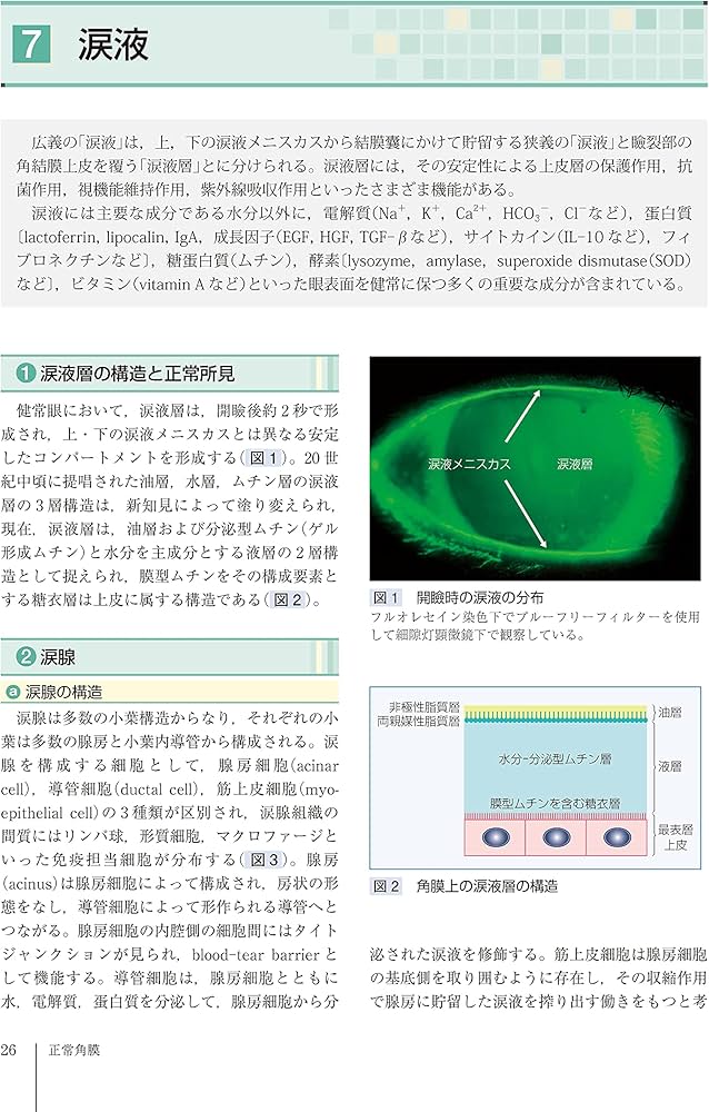 Amazon.co.jp: 角膜クリニック 第3版 : 眞鍋 禮三, 木下 茂, 大橋 裕一