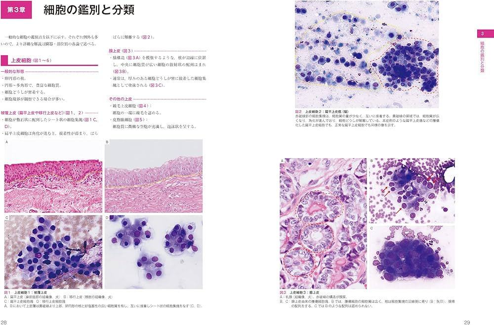 犬と猫の実践 細胞診アトラス | 酒井 洋樹, 酒井 洋樹 |本 | 通販 | Amazon
