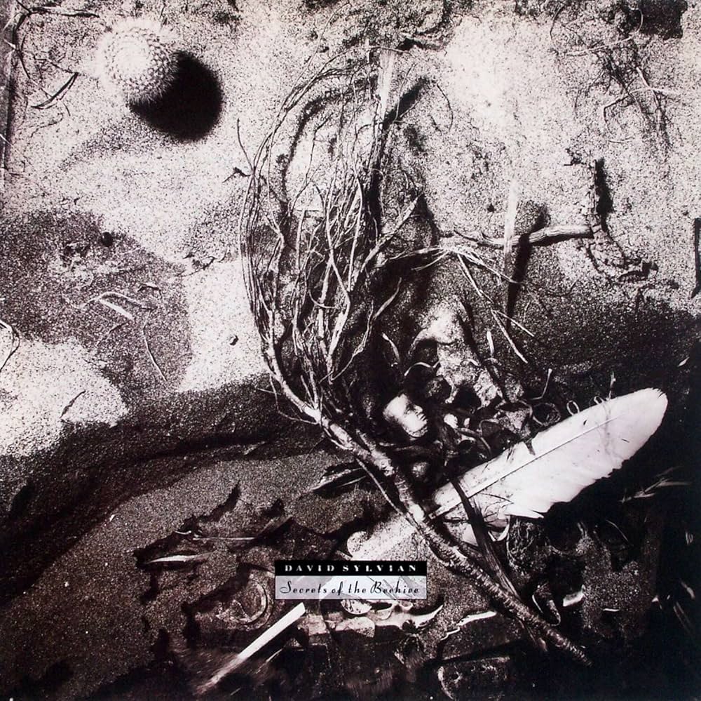 Amazon.com: David Sylvian - Secrets Of The Beehive - Virgin - 208