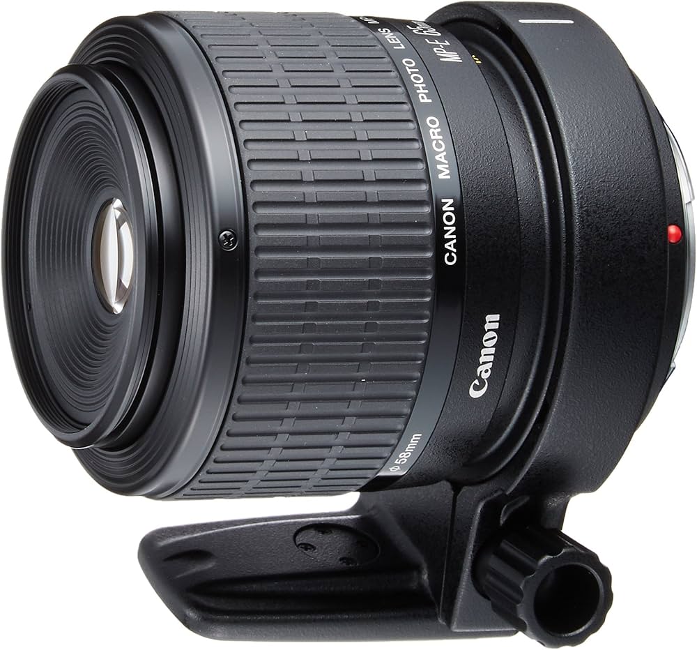 Amazon.co.jp: Canon MP-E65mm F2.8 1-5X Macro Photo Single Focus