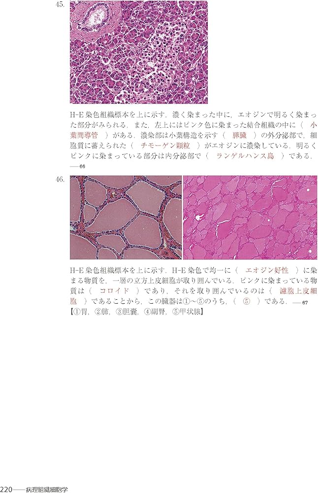 Amazon.co.jp: 臨床検査技師国家試験対策マスタードリル2024[2025年国