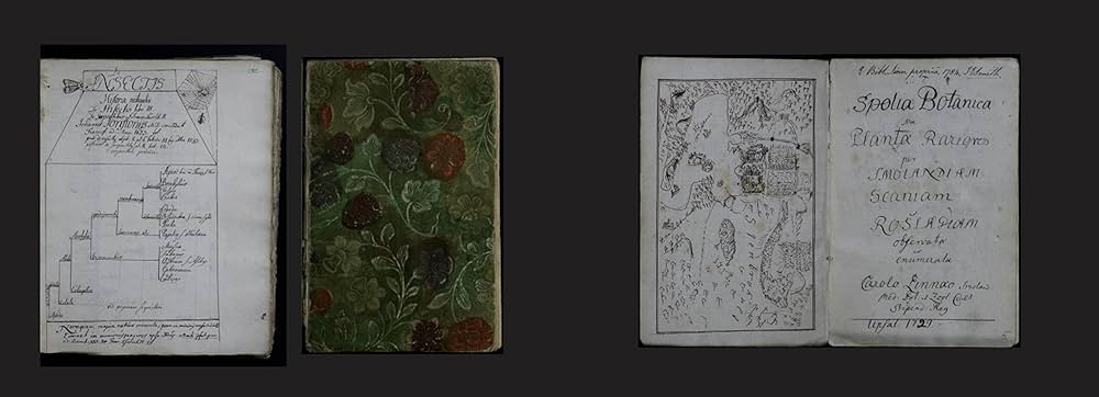 Amazon.co.jp: 冒険家たちのスケッチブック 発見と探検のリアル