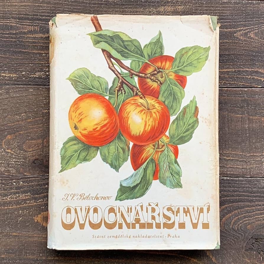 Amazon.co.jp: チェコの古い果物の図鑑(OVOCNARSTVI 1953年