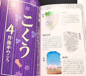 81j3U2DfNgL._AC_UF350,