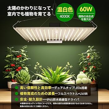 Amazon.co.jp: 植物育成ライト LED 60W パネル【放熱効率UP/ IP65防水