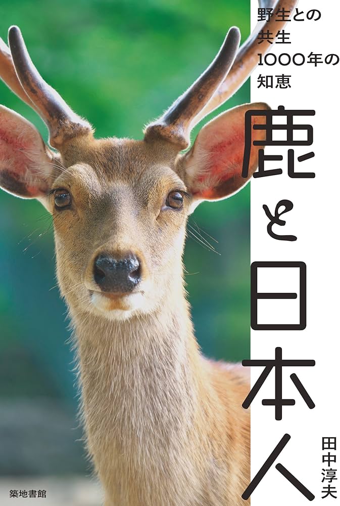 平凡之鹿】YMDS Totoro HHRナーセリータグ付け #073 track No.3