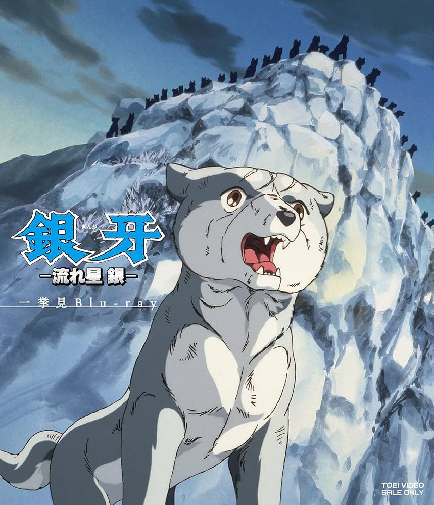 Amazon.co.jp: 銀牙-流れ星 銀- 一挙見Blu-ray : 山田栄子, 銀河万丈