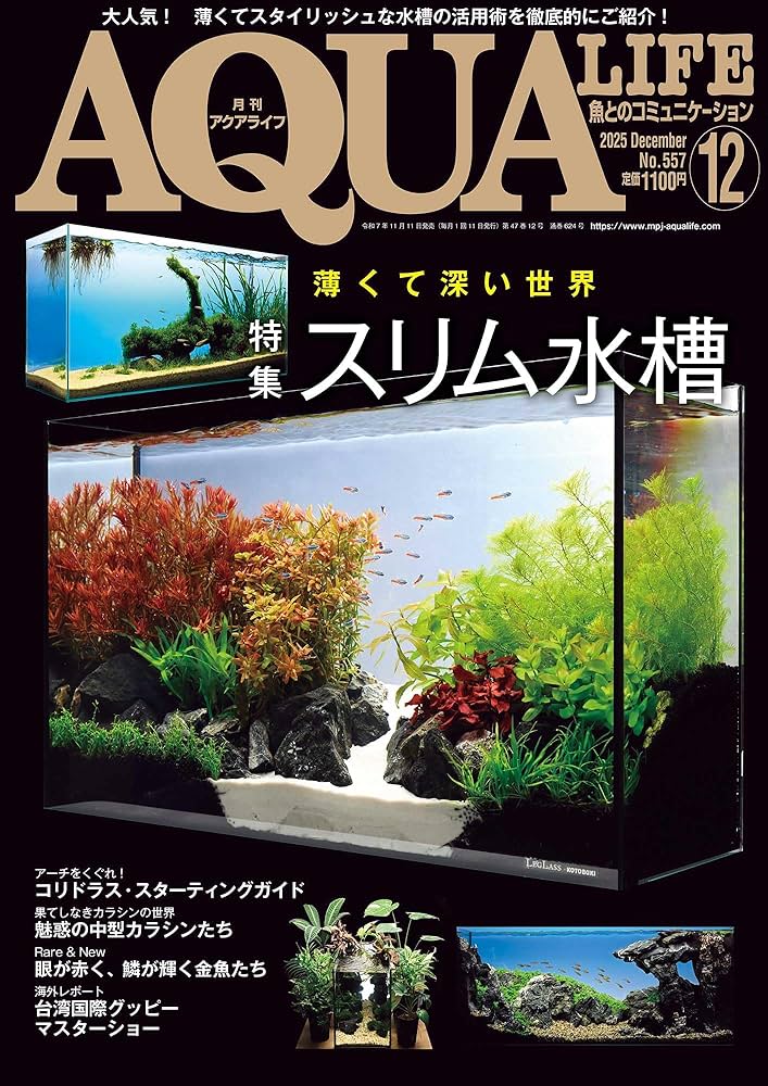 月刊アクアライフ 2025年12月号 スリム水槽 [雑誌] | アクアライフ編集