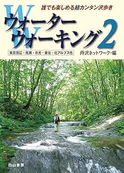 81kB9KUHIzL._AC_UF350,