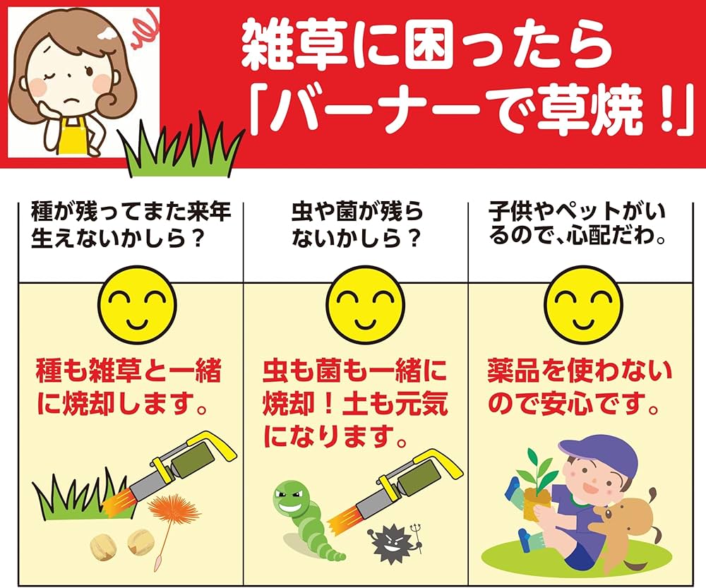 81kM1x25BEL._AC_UF1000,