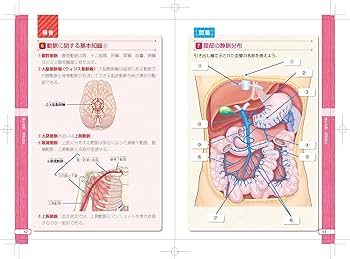 看護学生のための解剖学ドリル (メディカル・ポケットブック) | 飯島