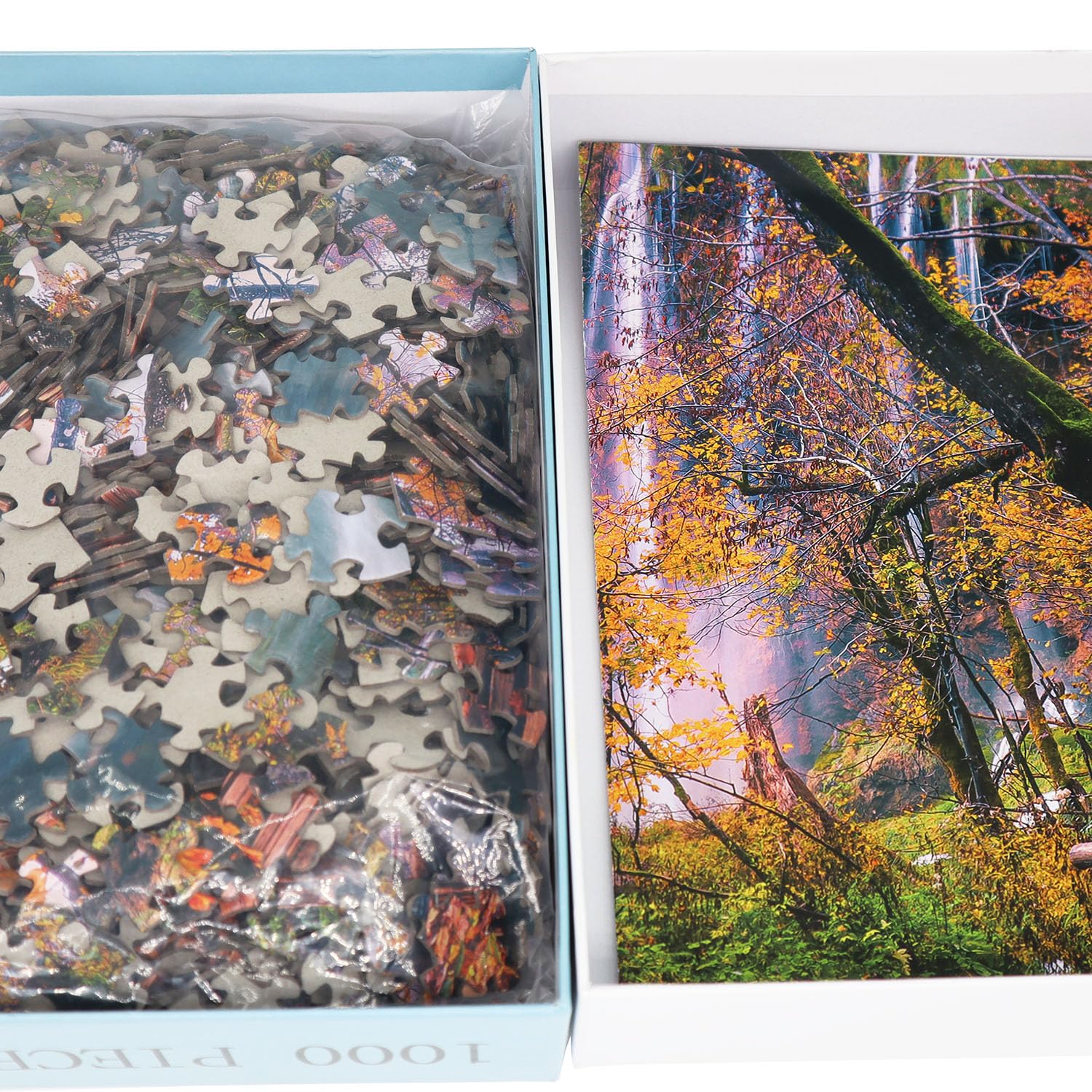 5個セット A Flower Forest Jigsaw Puzzle 5個セット A Flower Forest