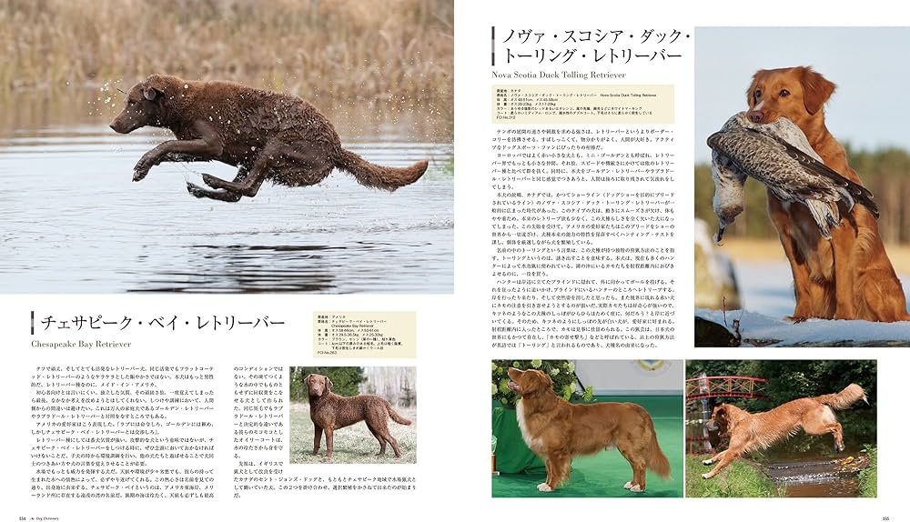最新 世界の犬種大図鑑: 原産国に受け継がれた420犬種の姿形 | 藤田