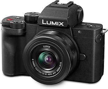 Amazon Canada: Panasonic LUMIX G100 4k Mirrorless Camera for Photo