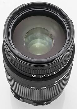 Amazon.co.jp: シグマ 70-300mm F4-5.6 DG OS キヤノン用 70-300mm F4