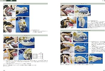 犬と猫のベーシック画像診断学 骨と関節/頭部/脊柱/内分泌器官編