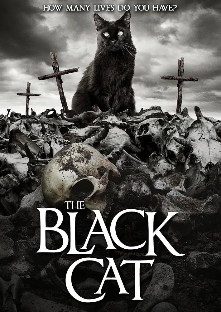 Amazon.co.jp: The Black Cat [DVD] : DVD