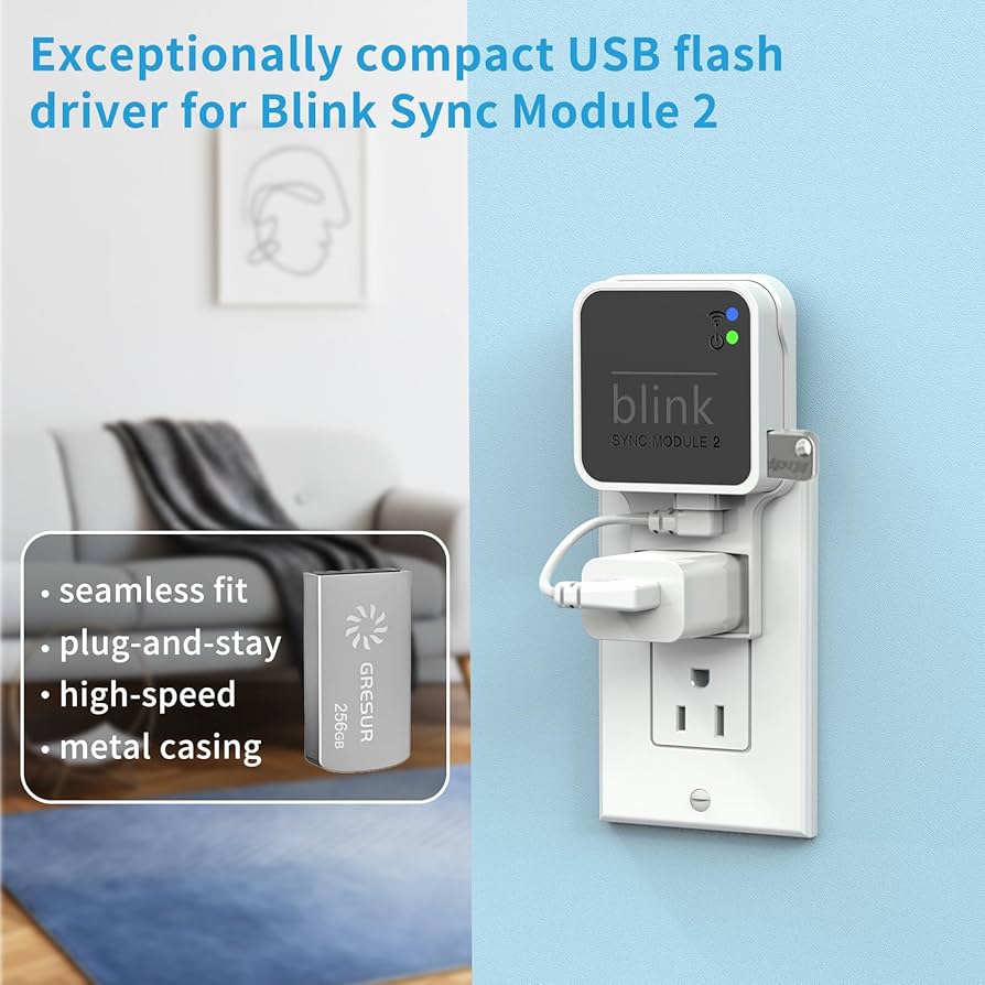 Amazon.com: 256GB USB Flash Drive for Local Video Storage with The