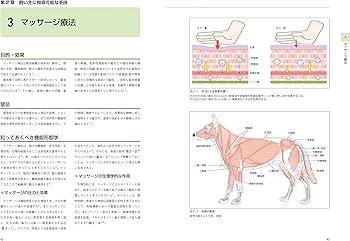 犬と猫のリハビリテーション学:疾患別の施術と飼い主指導 | 宮田 拓馬