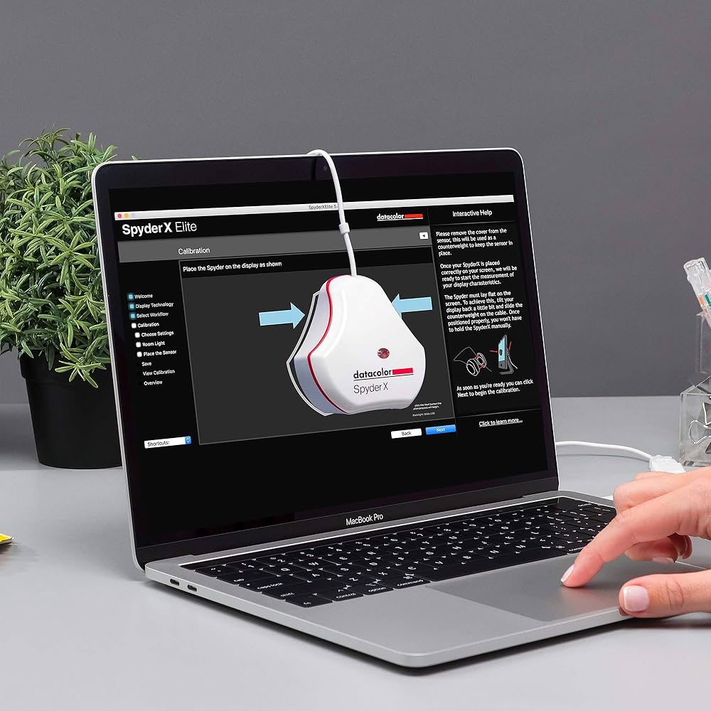 81m7wqcXo-L._AC_UF1000,