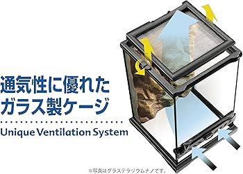 Amazon | エキゾテラ GEX EXOTERRA グラステラリウム 6045 PT2610
