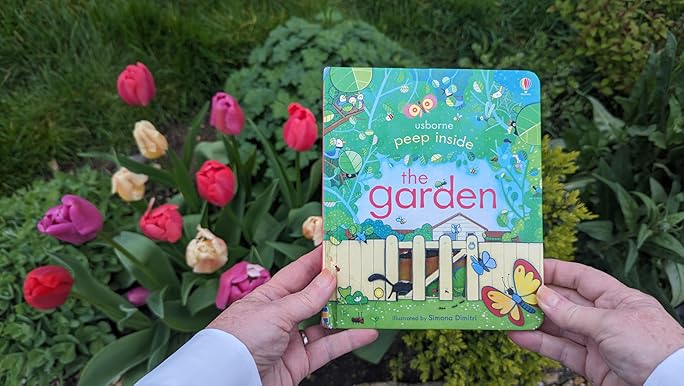 Peep Inside 6 Books Collection Box Set by Usborne (Zoo, Animal