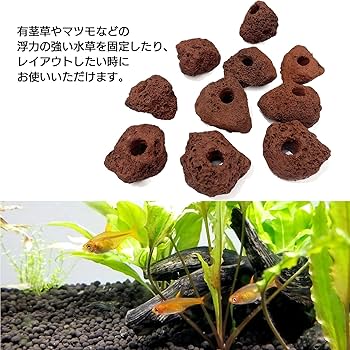 Amazon | モデルノ ラ テール 溶岩石 穴あき アクアリウム オブジェ