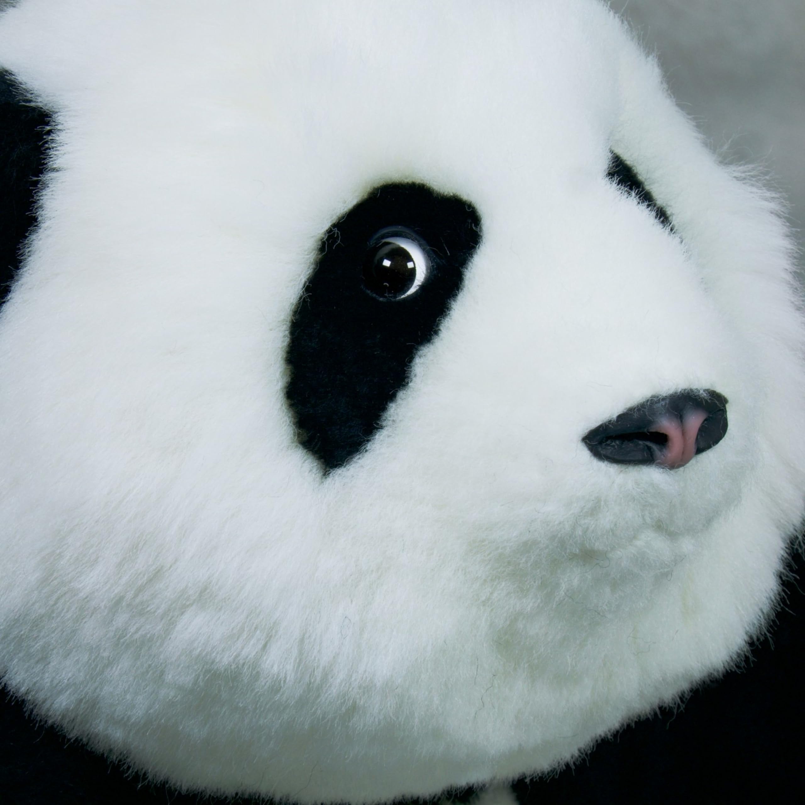 入手困難】パンダ ぬいぐるみ リアル 本物 そっくり 入手困難】パンダ