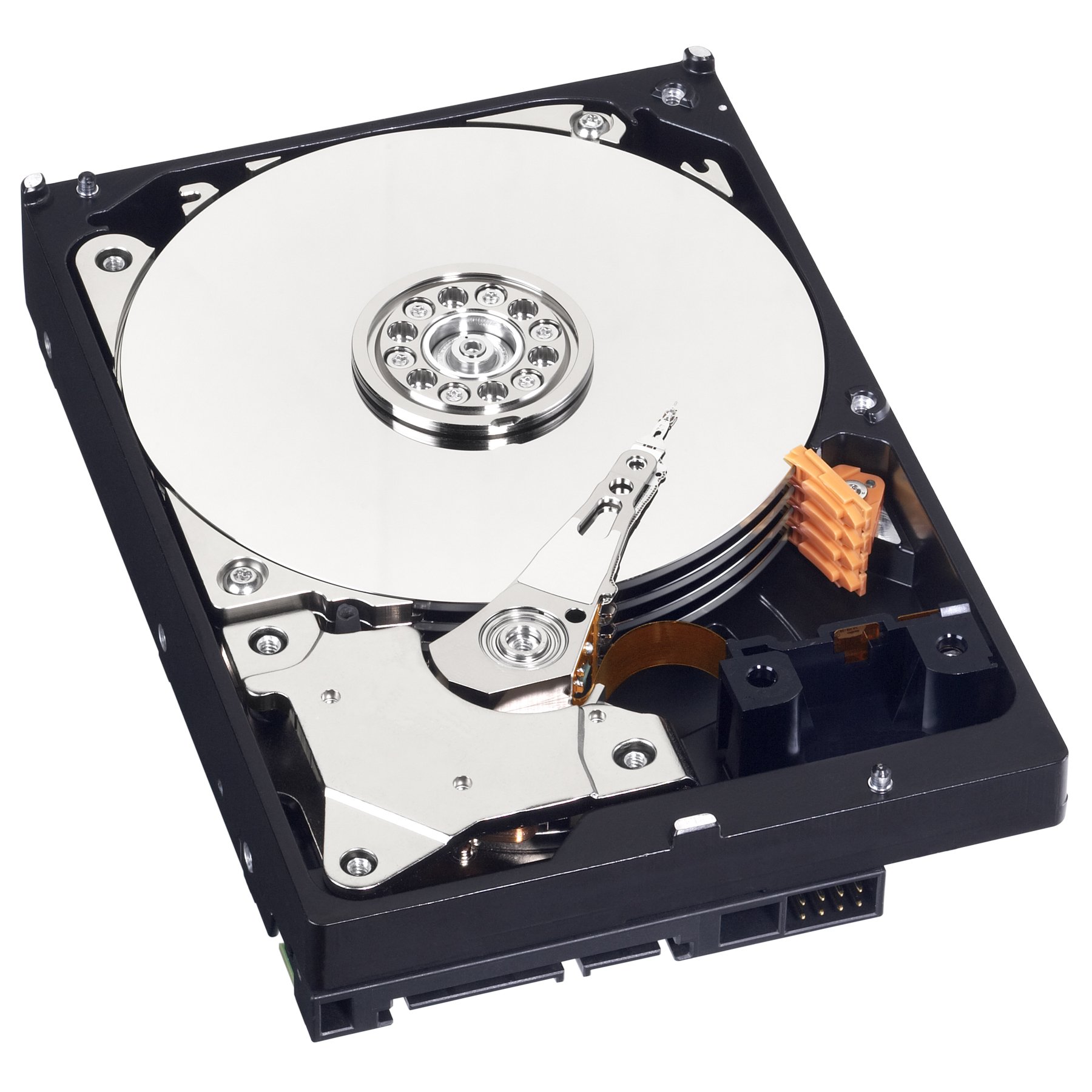 Amazon.com: Western Digital 1TB 3.5
