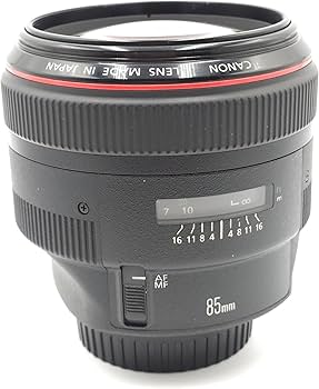 Amazon.com : Canon 85mm F1.2 L II USM EF AF Lens : Camera Lenses