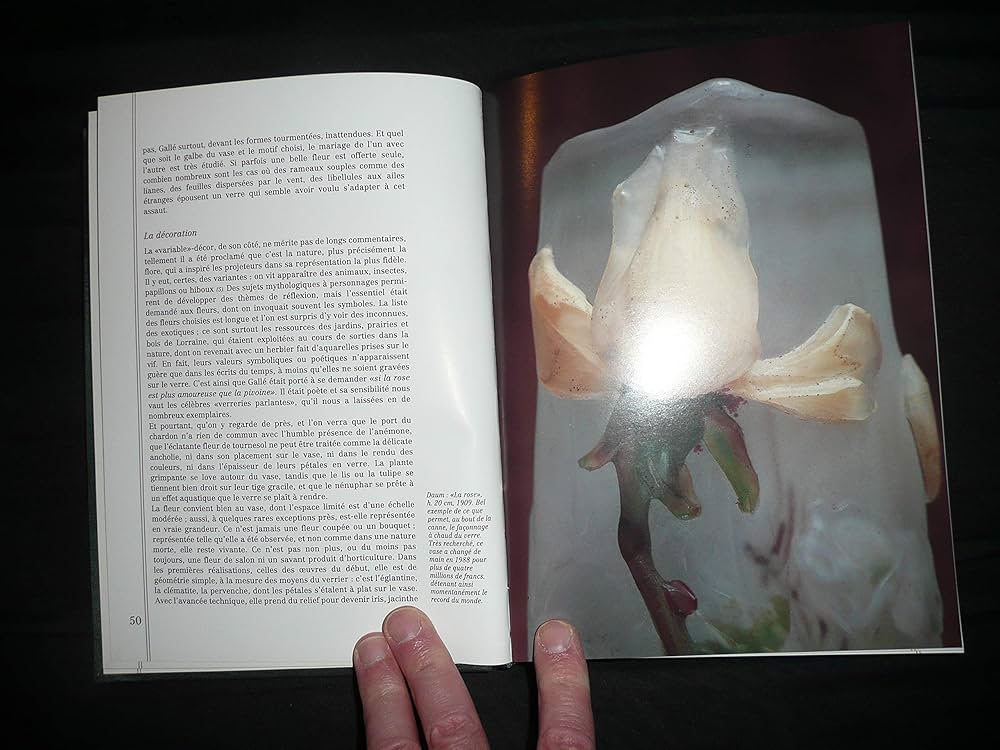 Amazon.co.jp: Nancy 1900 : Rayonnement de l'Art Nouveau : 本