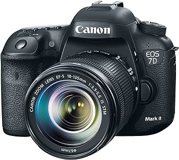 Amazon.com : Canon EOS 7D Mark II Digital SLR Camera with 18-135mm