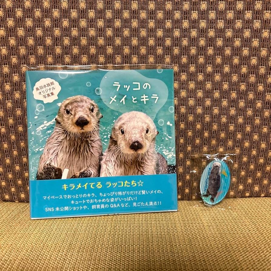 Amazon.co.jp: ラッコのメイとキラ 写真集 鳥羽水族館 : おもちゃ
