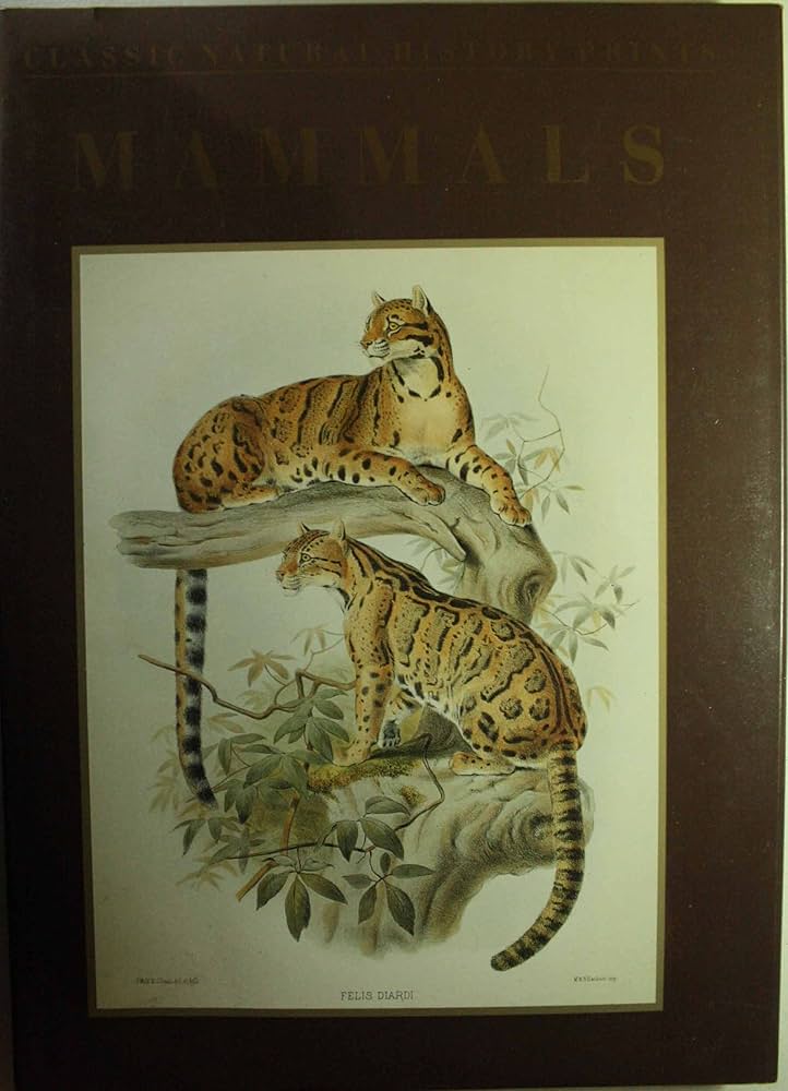 Amazon.co.jp: Classic Natural History Prints: Mammals : Rh Value