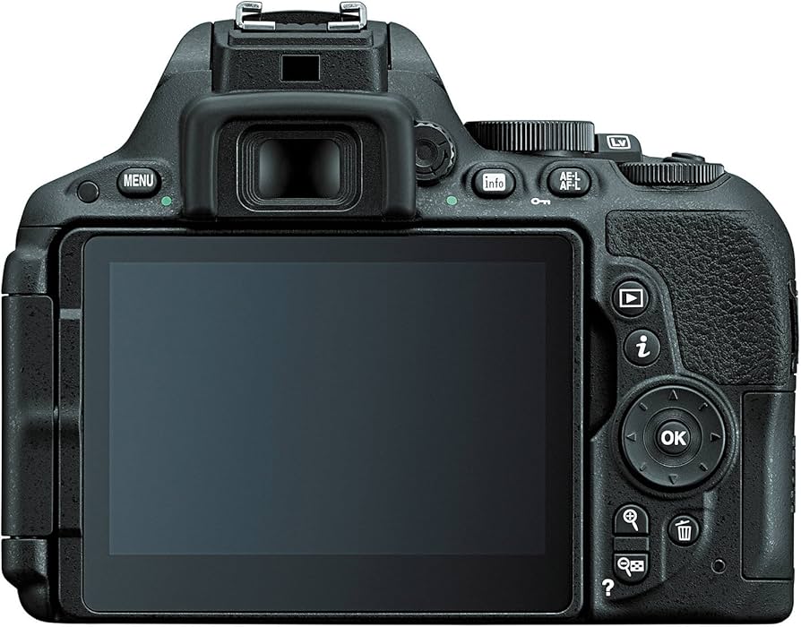 Amazon Canada: Nikon D5500 DX-Format Digital SLR Body (Black)