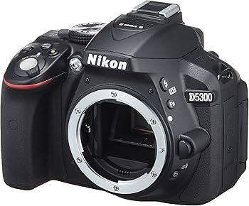 Amazon.com : Nikon D5300 24.2 MP CMOS Digital SLR Camera with